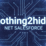 Nothing2Hide Net Salesforce: What You Need to Know