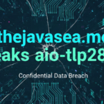 thejavasea.me Leaks AIO-TLP287: What You Should Know